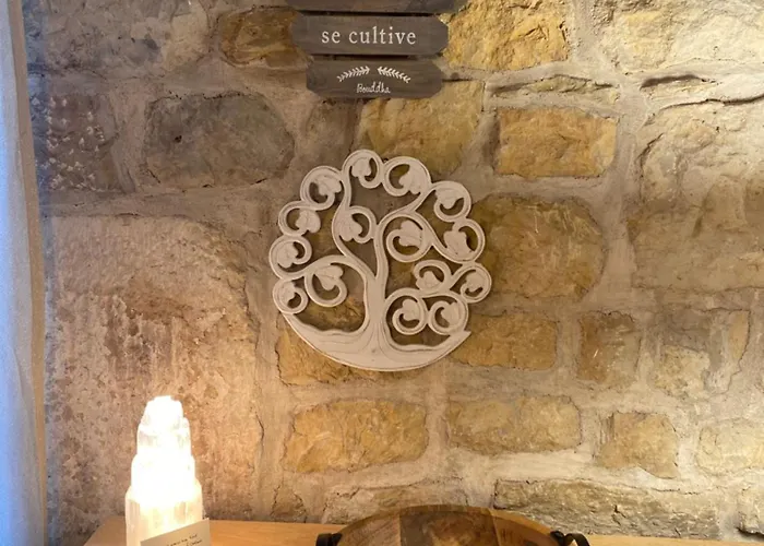 Les Carillons Du Bois De L'orme